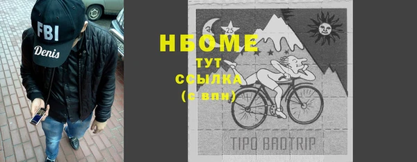 сатива Аркадак
